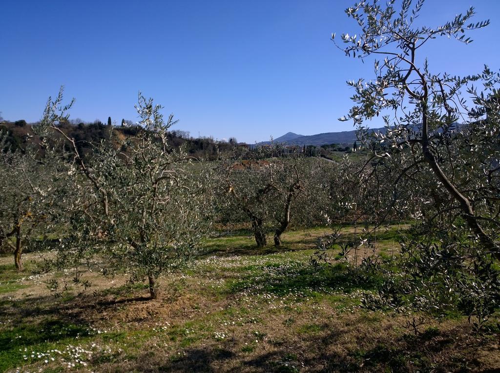 Apartamento Madonna della Rosa Chianciano Terme Exterior foto